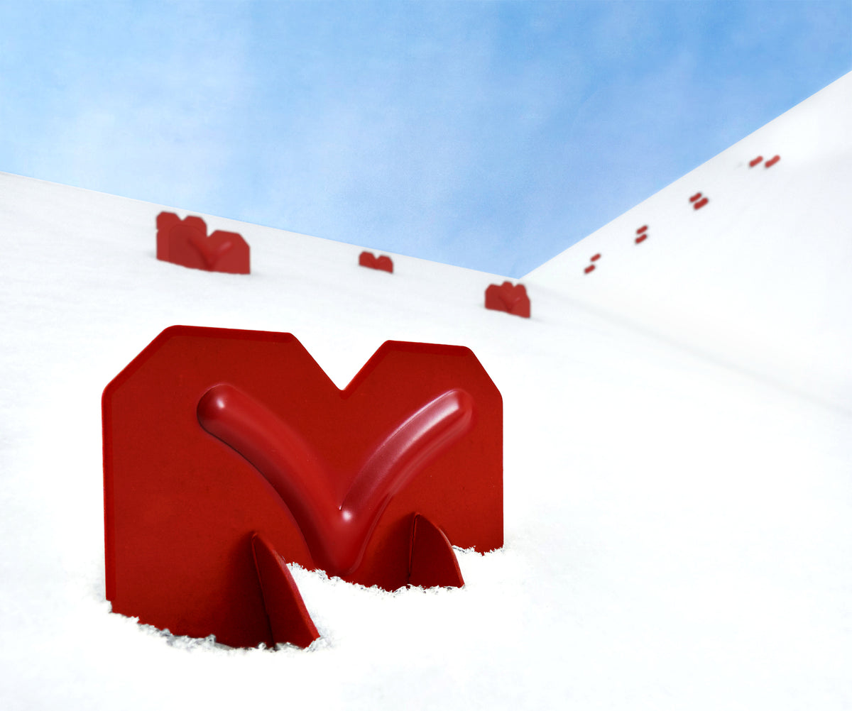 Keeping Your Home Safe with Snow Retention Systems – Best Buy Metals