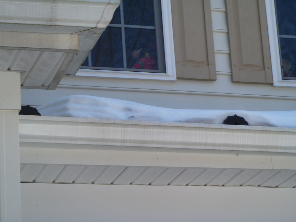 6500 Series - Standing Seam Snow Guard - Painted